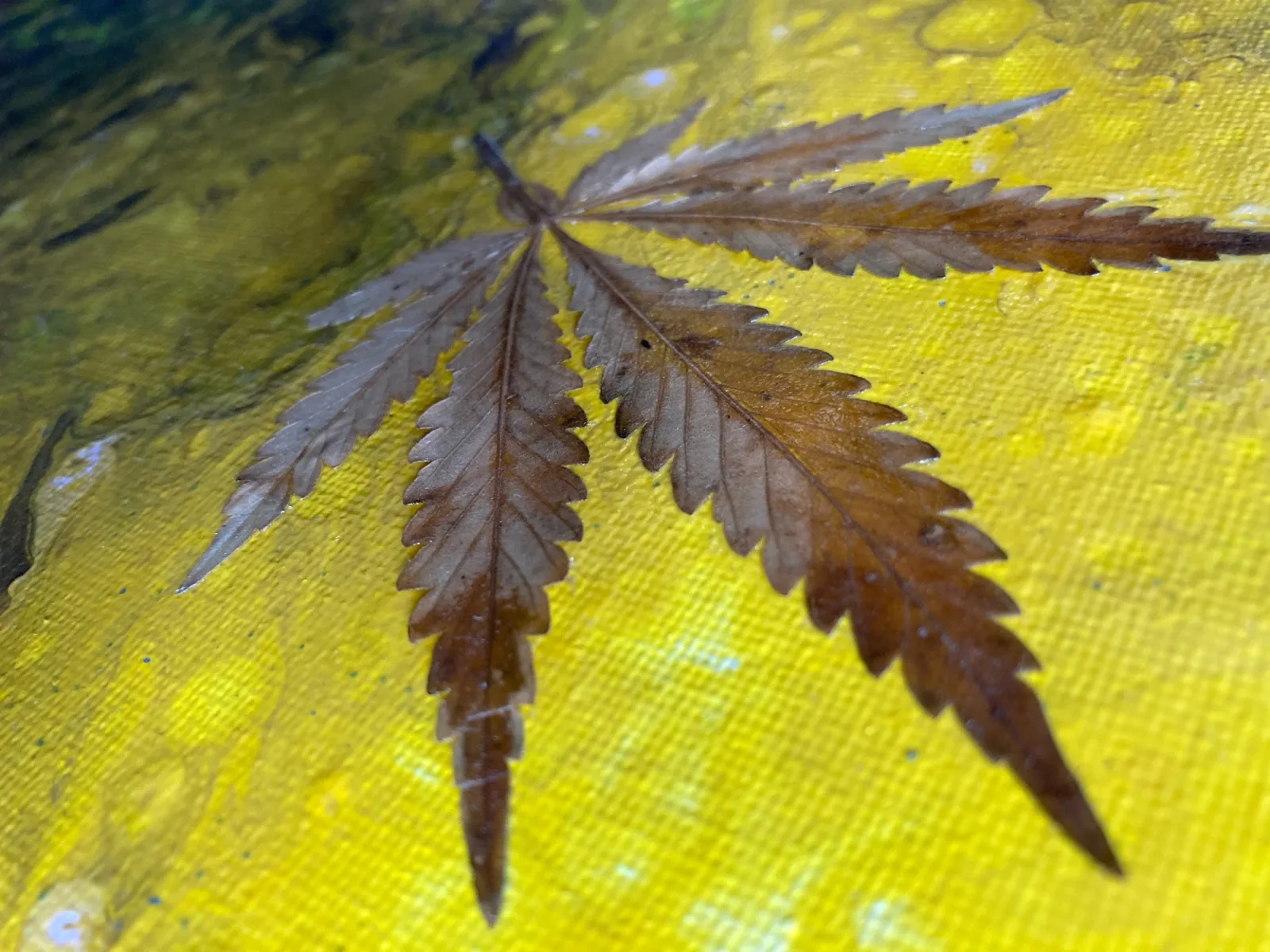 Surface detail from Yellow Field, Veined by Danny Hirsch