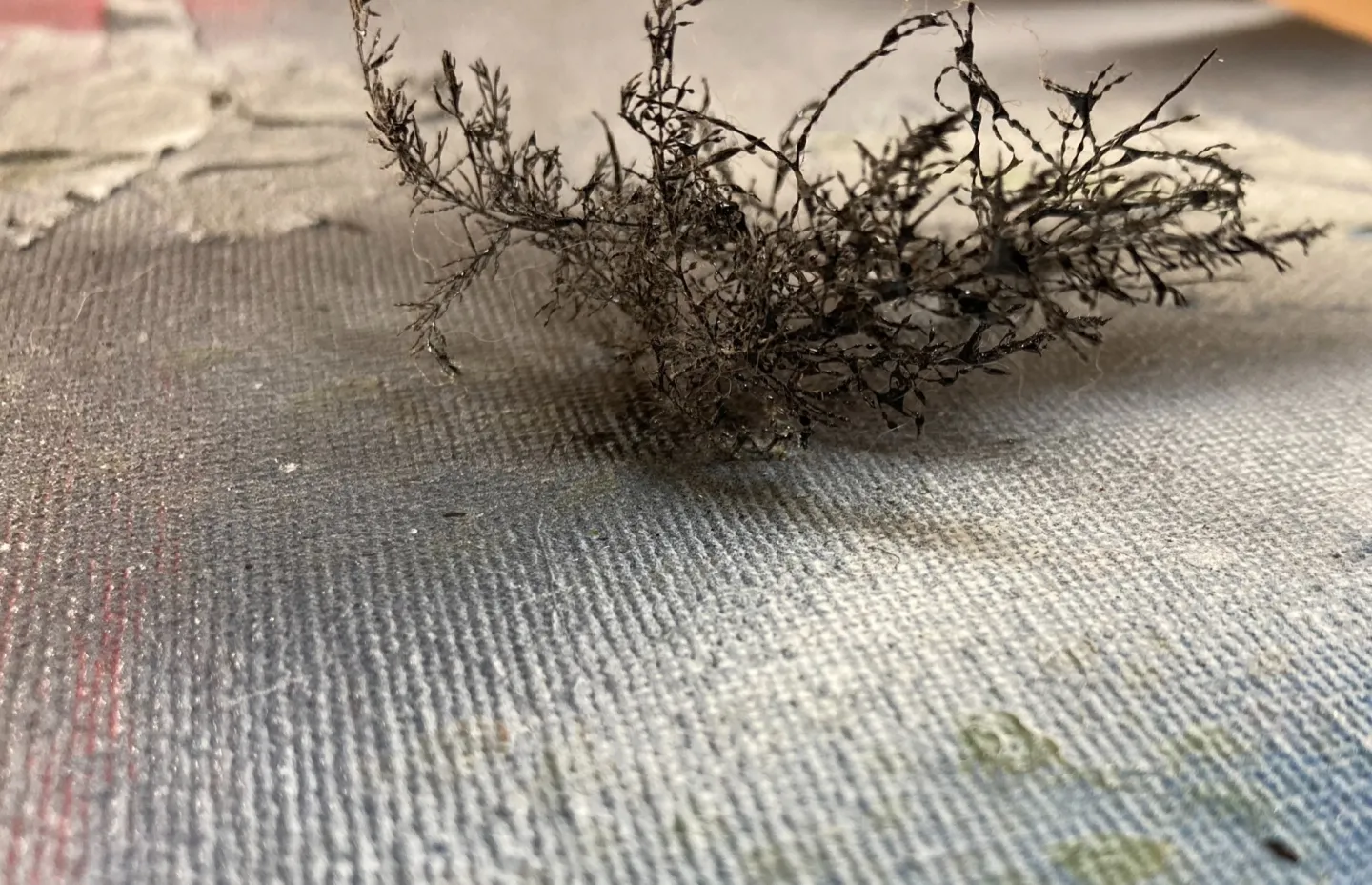 Fiber Relief by Danny Hirsch Arts